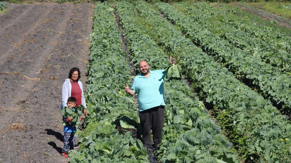 En familia se disfruta mejor la experiencia al visitar la parcela de don Esteban en Altamira
