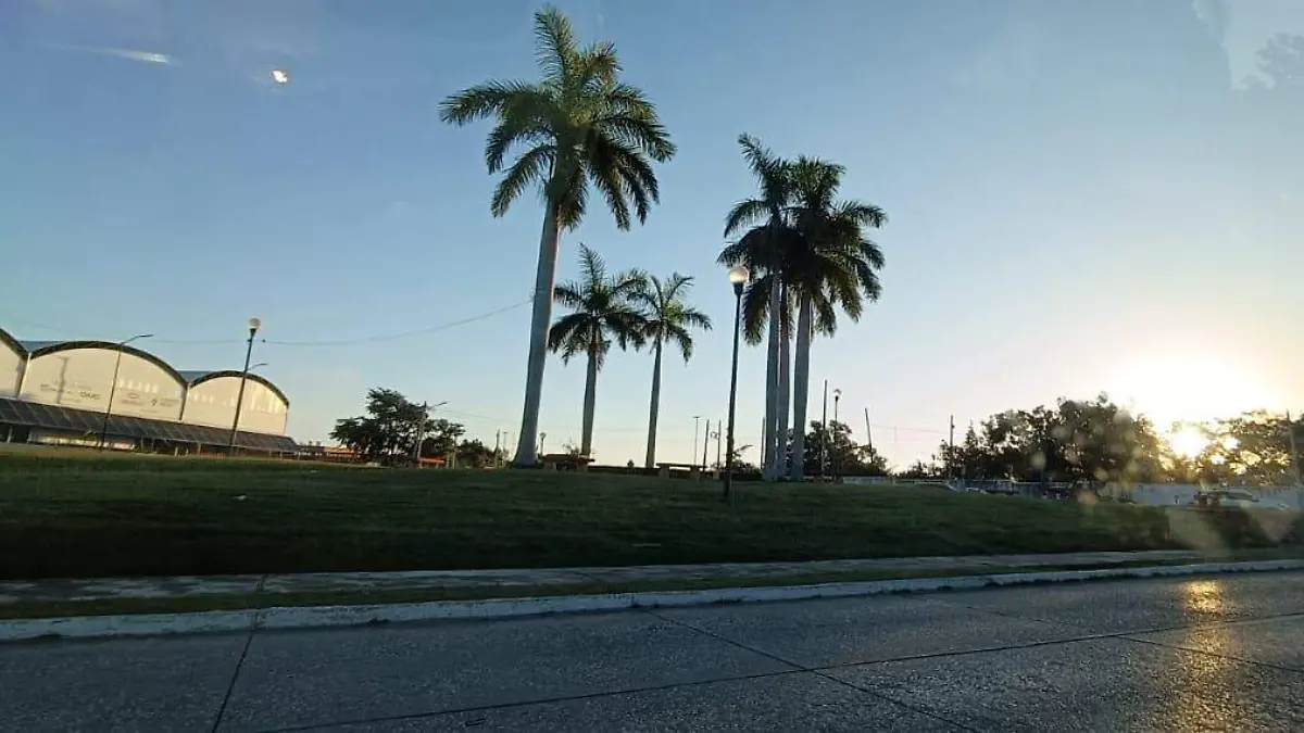 WhatsApp Image 2026-01-16 at 8.17.00 AM