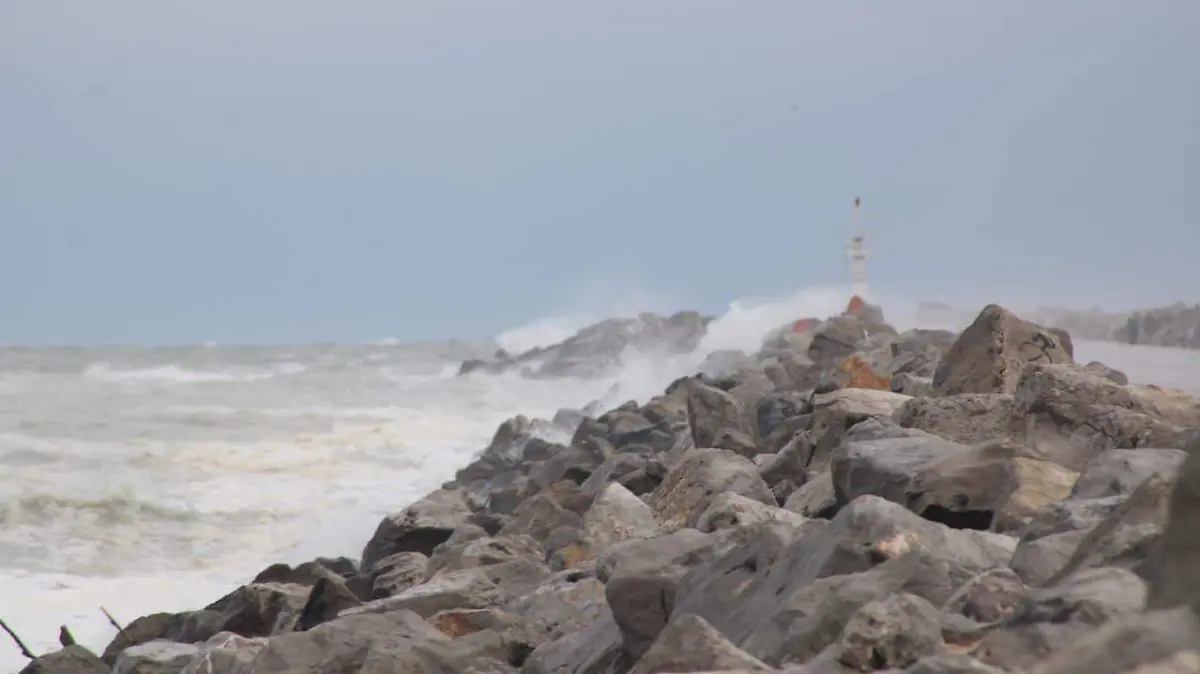 WhatsApp Image 2026-01-16 at 12.23.19 PM