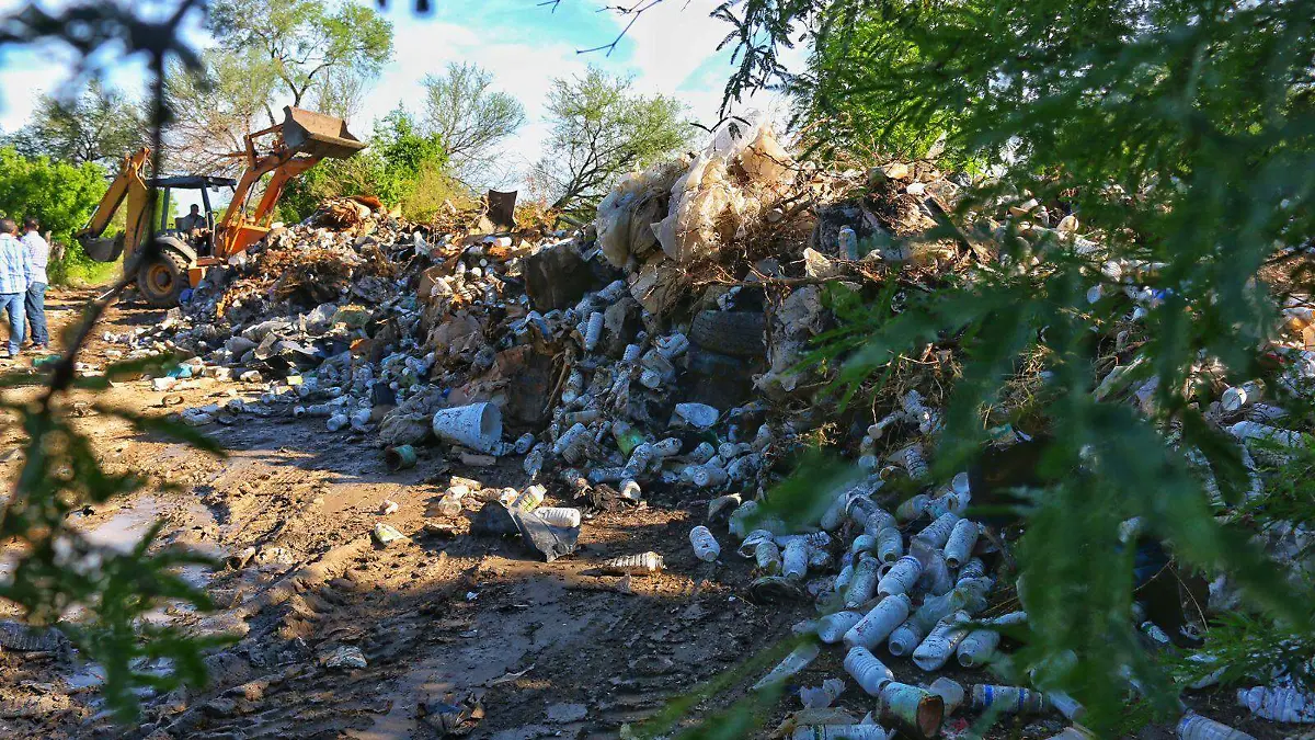 WhatsApp Image 2026-01-16 at 11.03.49 AM