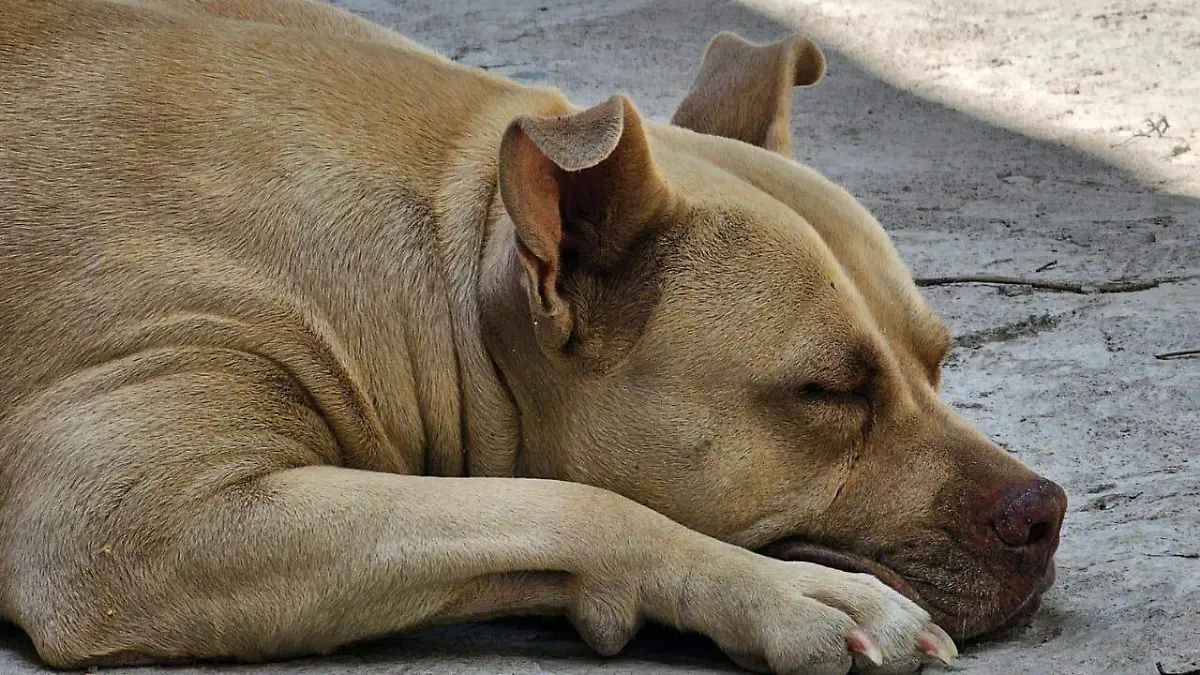 WhatsApp Image 2026-01-16 at 17.16.26 (1)