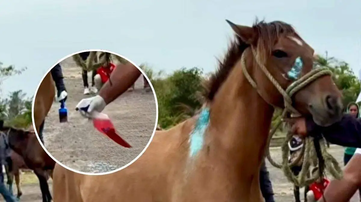 FOTOS DE TAMAÑO (55)