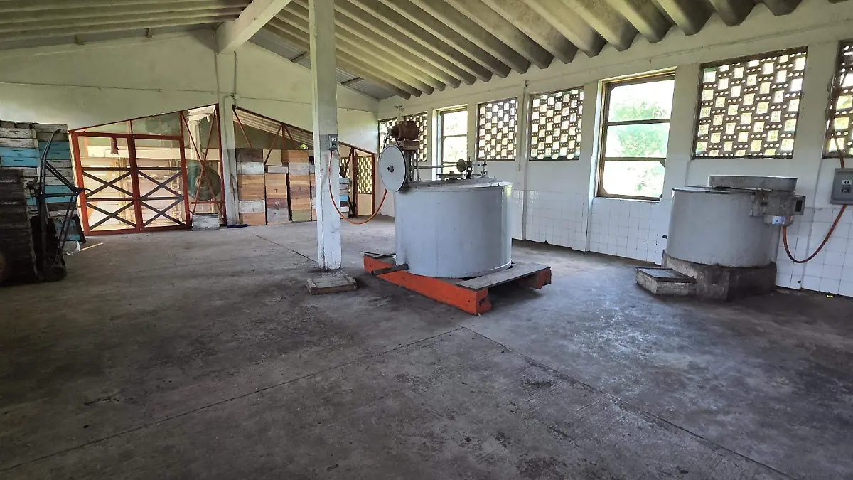 La extracción de miel se realiza mediante centrifugación para conservar los panales y a las abejas.