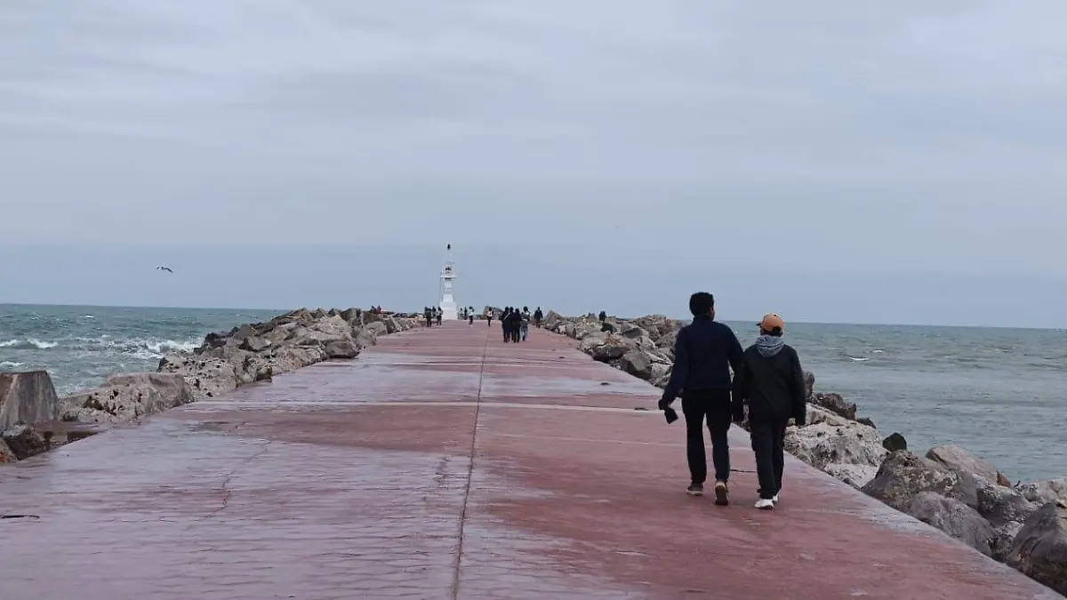 WhatsApp Image 2026-01-17 at 2.23.15 PM