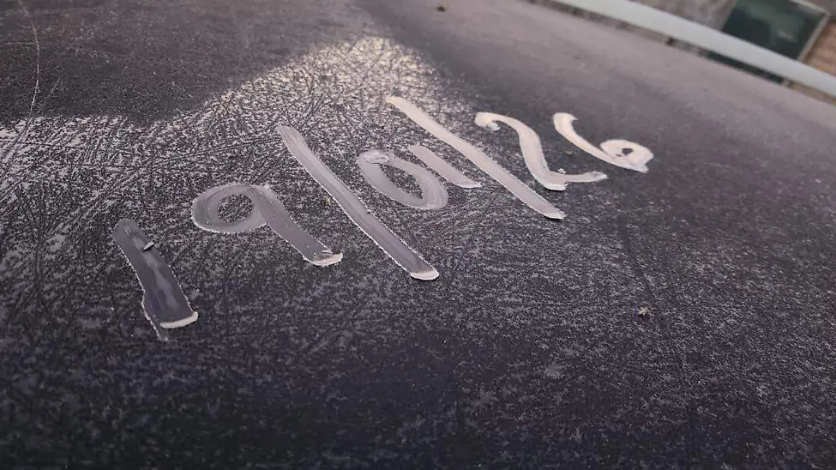 WhatsApp Image 2026-01-19 at 11.12.42 AM