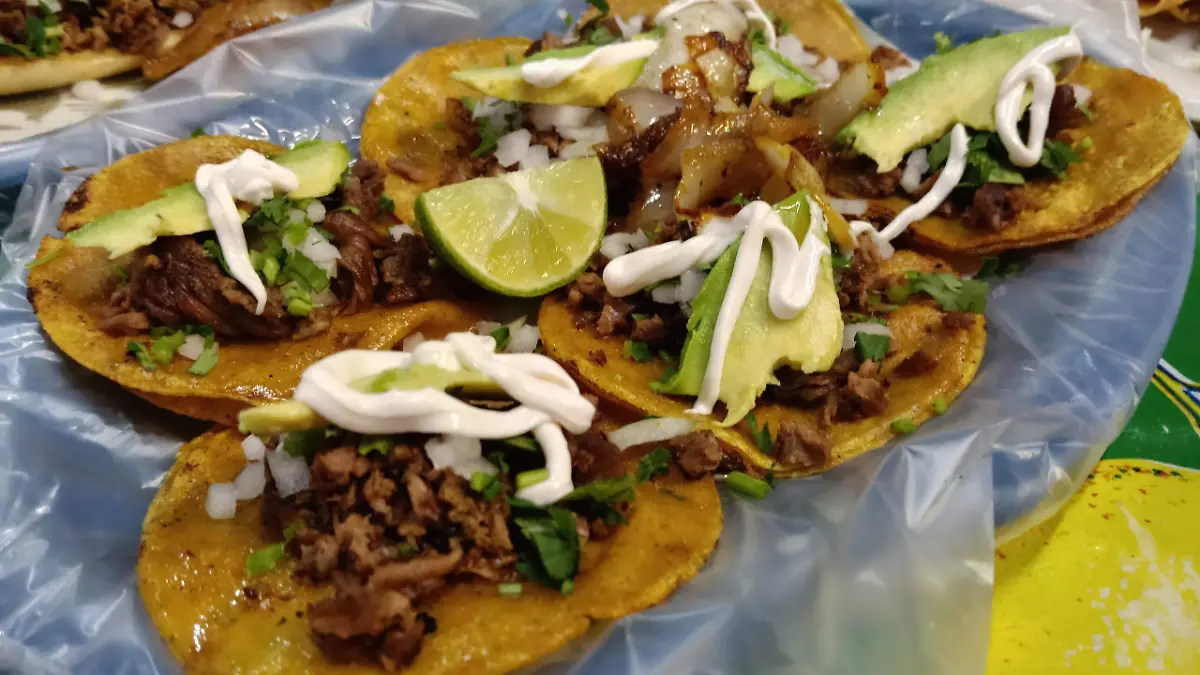 WhatsApp Image 2026-01-19 at 3.33.45 PM