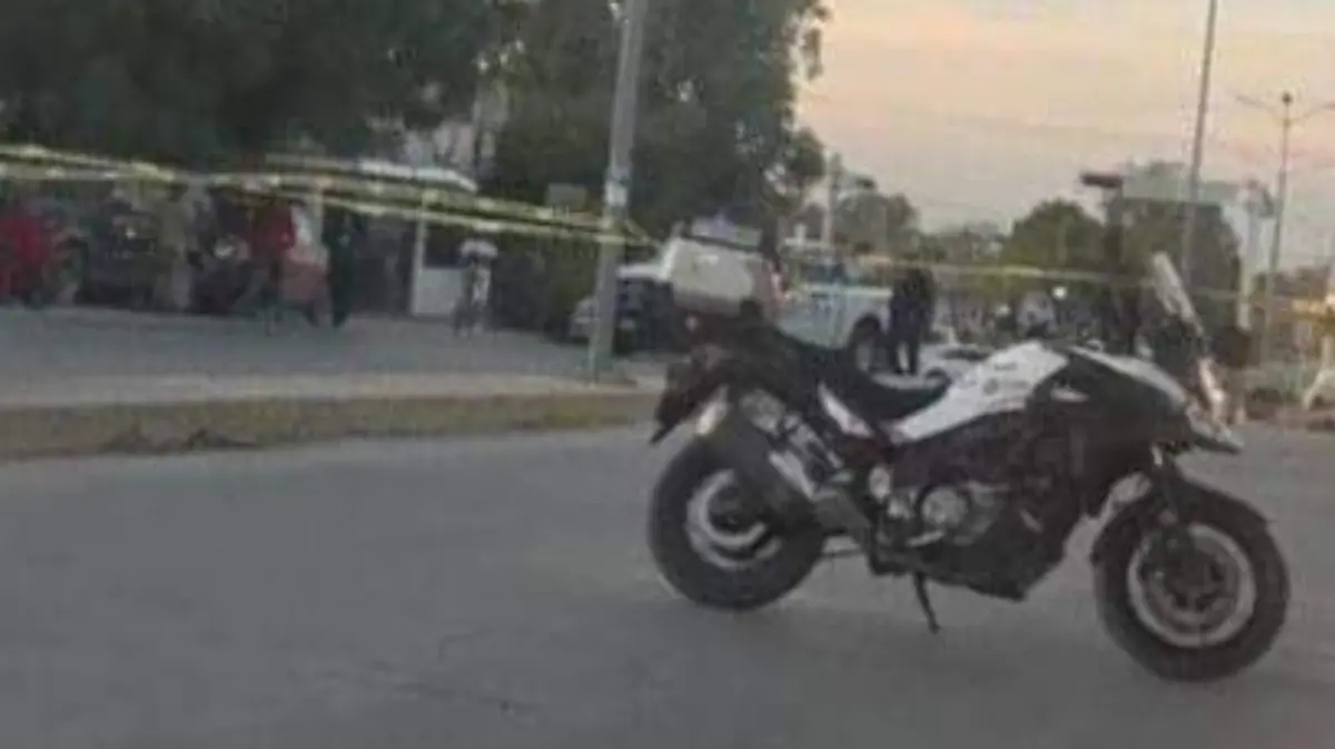 WhatsApp Image 2026-01-19 at 8.38.16 PM