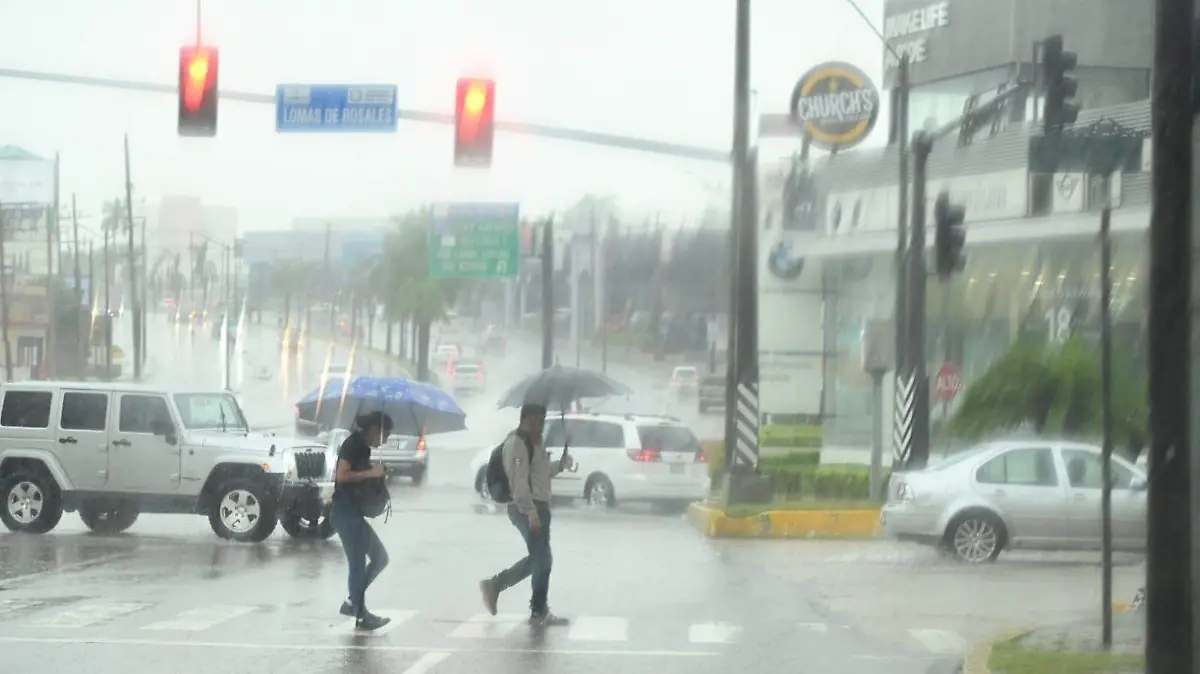 WhatsApp Image 2026-01-20 at 7.13.06 PM