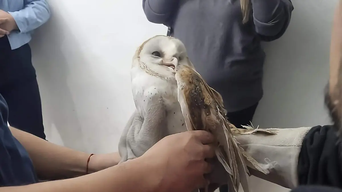 upscalemedia-transformed (2)