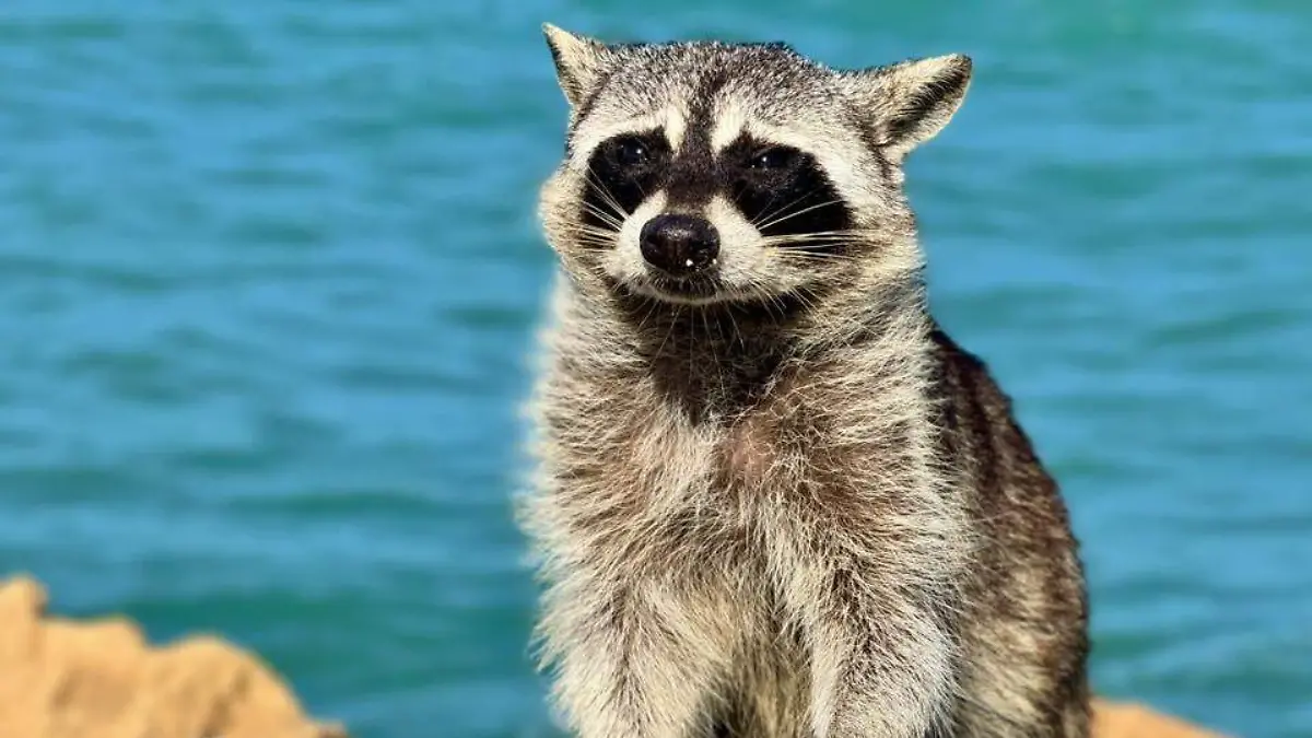 616166627_122169330998595679_2685778490551555893_n