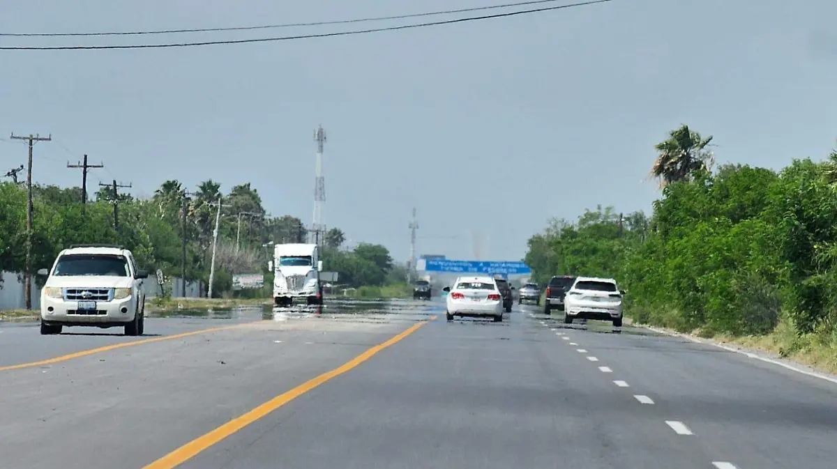 WhatsApp Image 2026-01-22 at 18.01.33