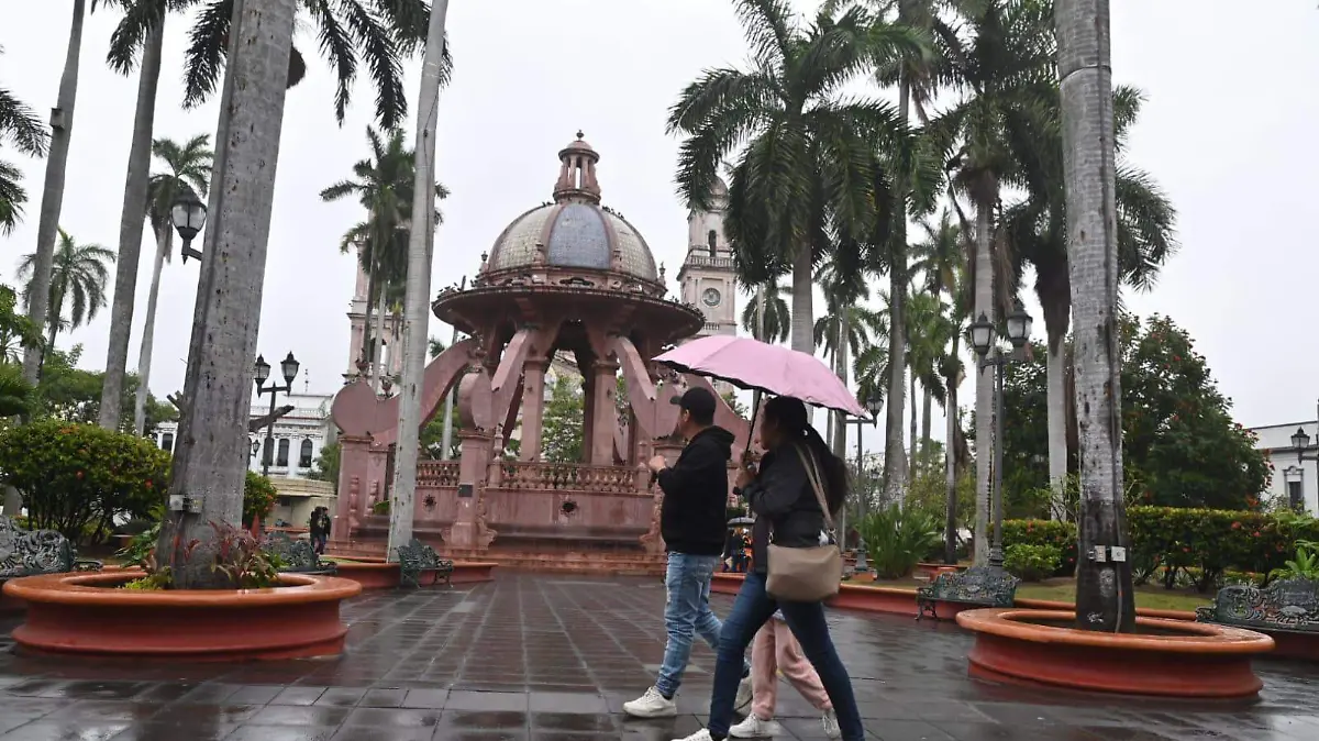 WhatsApp Image 2026-01-22 at 11.14.27 PM