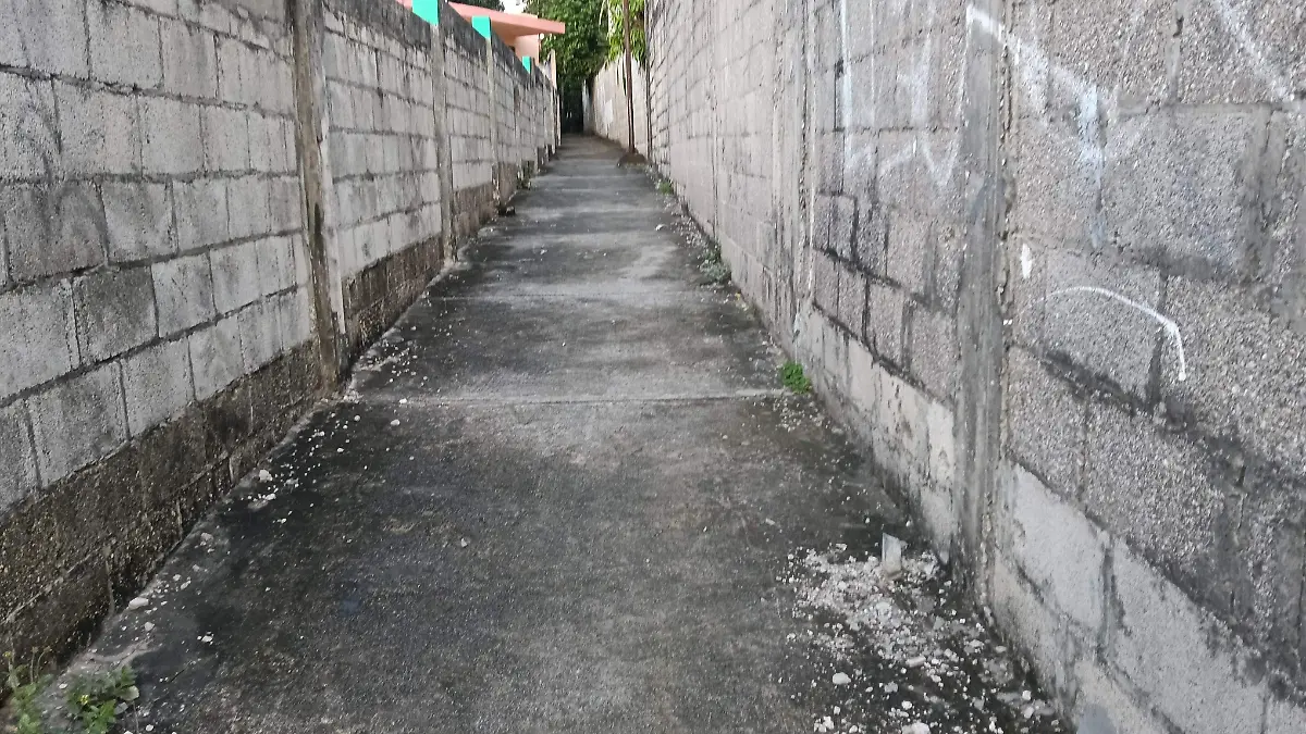 Cuando el Corredor Santo Niño se fundó servía para que los arreadores ingresaran y transportaran el ganado por la ciudad