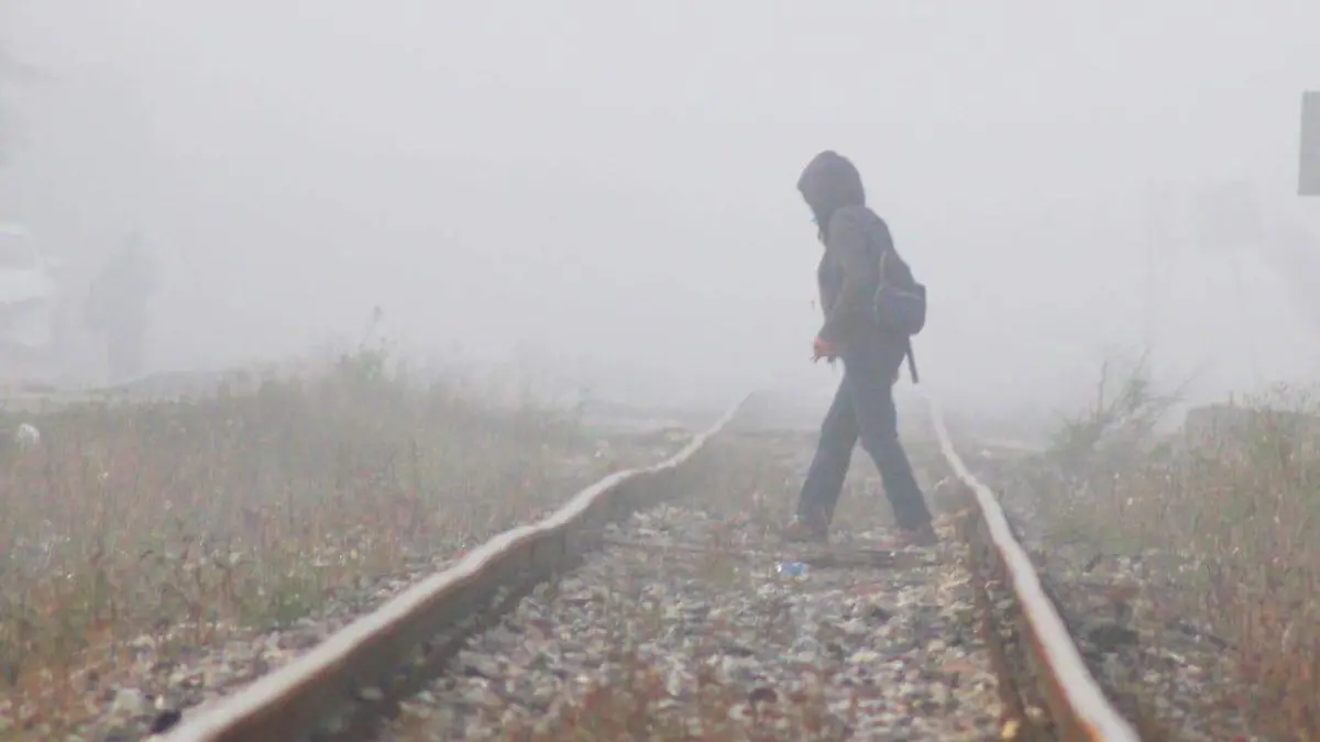 WhatsApp Image 2026-01-23 at 08.53.46