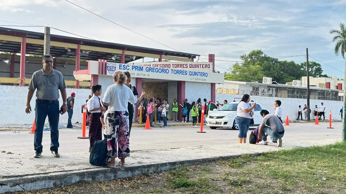 WhatsApp Image 2026-01-24 at 15.10.50