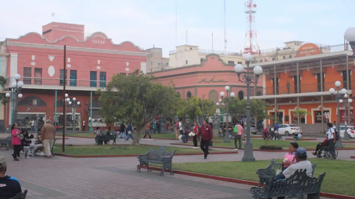 WhatsApp Image 2026-01-24 at 7.26.53 PM