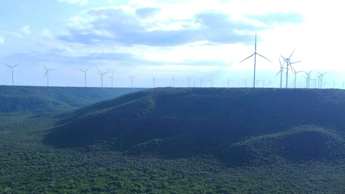 IMG-20251008-WA0334(1)