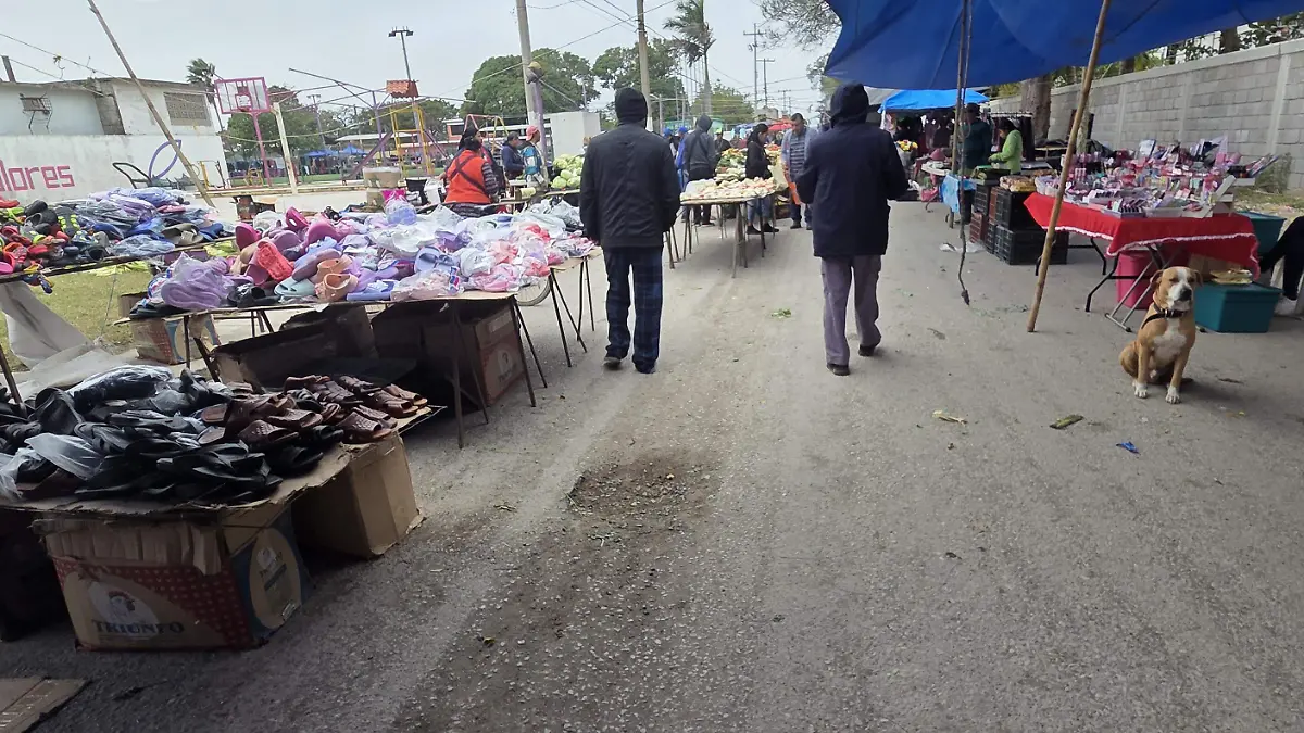 Las condiciones climatológicas adversas en el norte de Veracruz dejaron puestos vacíos y afectaron las ventas en los mercados rodantes