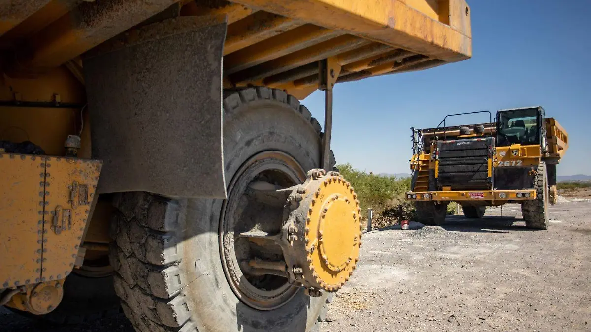 WhatsApp Image 2026-01-25 at 3.30.23 PM