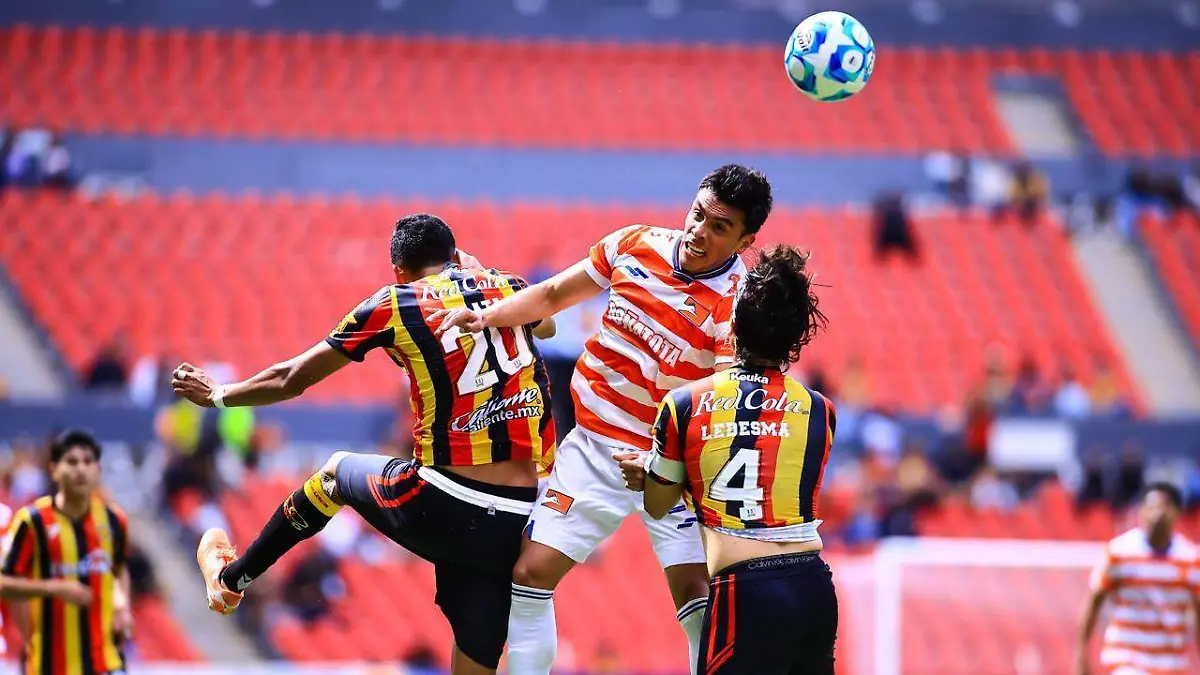 WhatsApp Image 2026-01-25 at 16.15.19