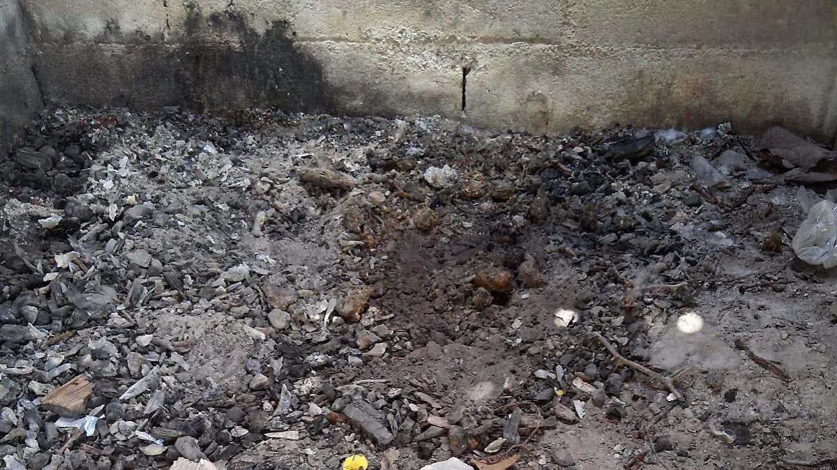 Colectivo localiza restos humanos en Reynosa durante jornada de búsqueda