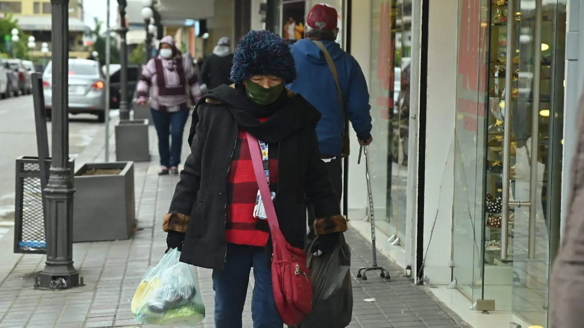 WhatsApp Image 2026-01-25 at 21.09.42