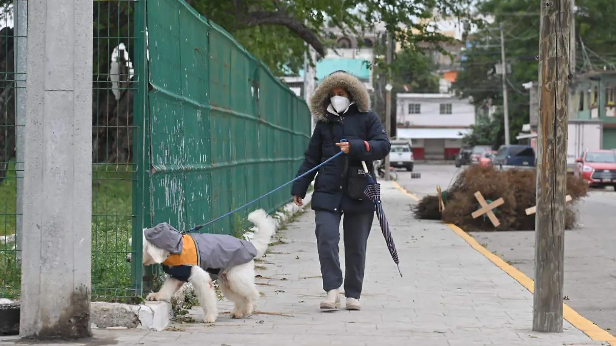 WhatsApp Image 2026-01-26 at 9.13.08 AM