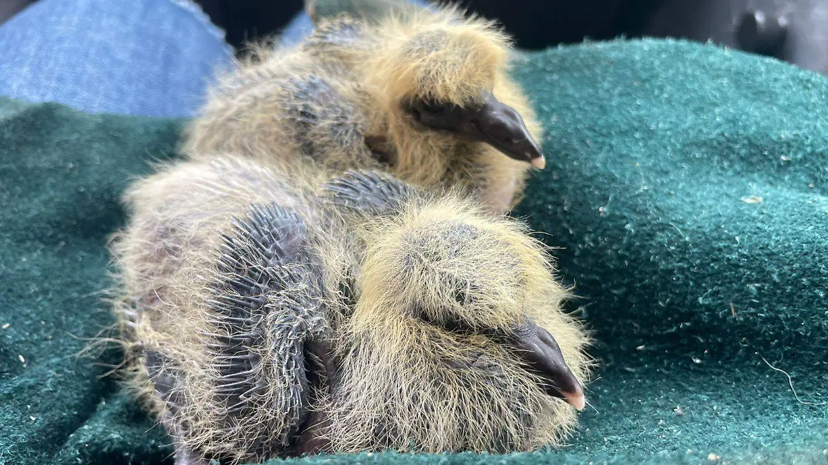 619295559_865454999791147_8062199181710325078_n