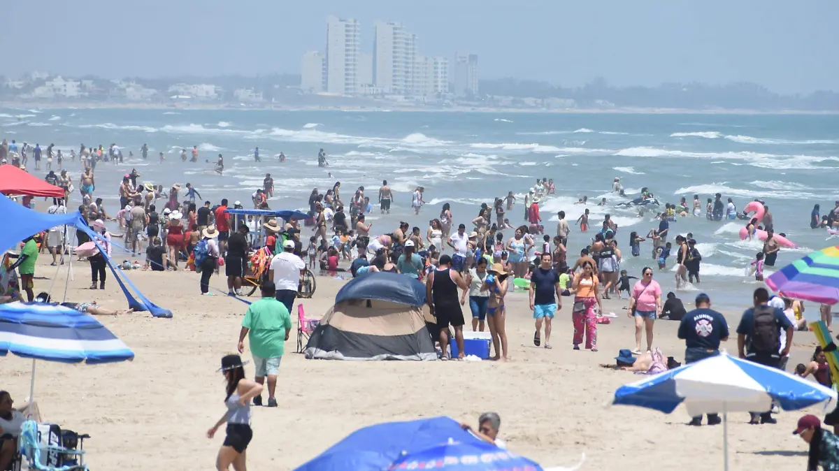 WhatsApp Image 2026-01-29 at 2.55.06 PM