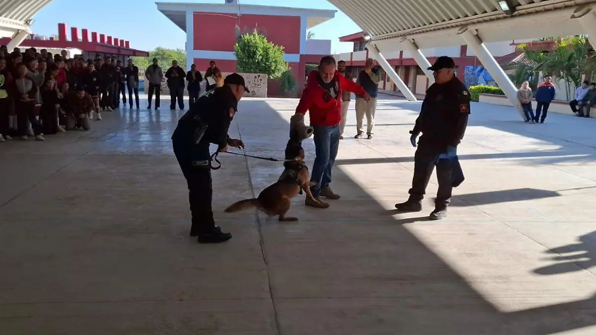 La participación del binomio canino es parte del programa institucional “Para una vida saludable y seguridad escolar”