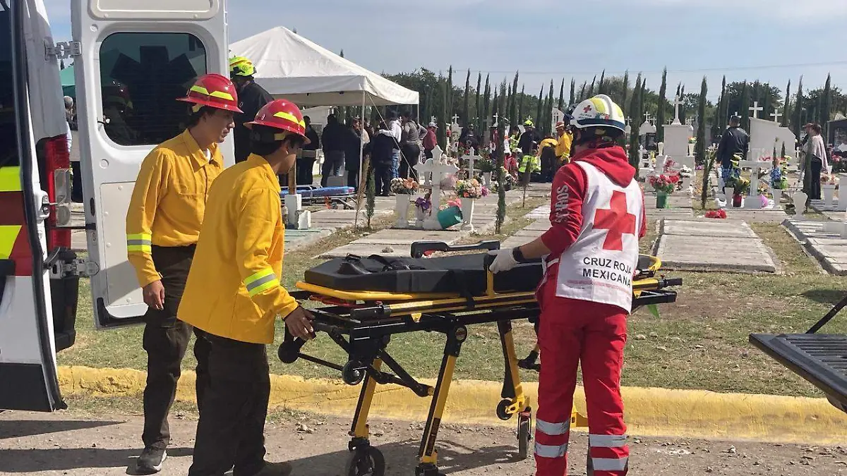 WhatsApp Image 2026-01-30 at 11.58.52 AM