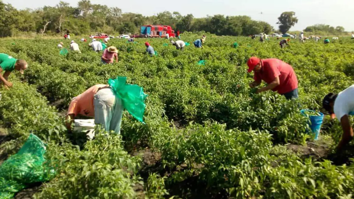 MAD Los trabajadores