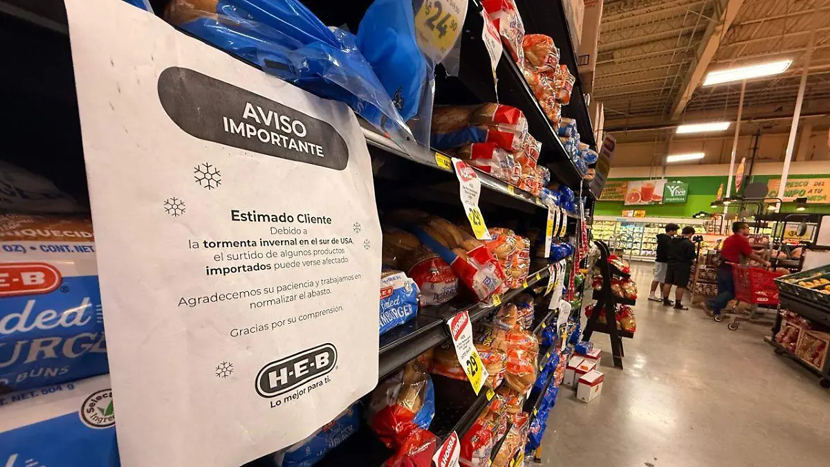 WhatsApp Image 2026-01-31 at 08.50.55