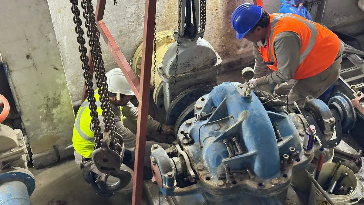 WhatsApp Image 2026-02-01 at 3.30.12 PM (1)