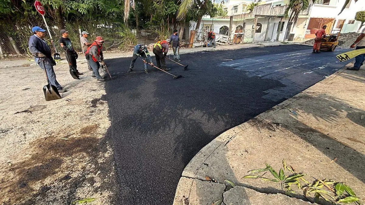 WhatsApp Image 2026-02-01 at 7.52.02 PM