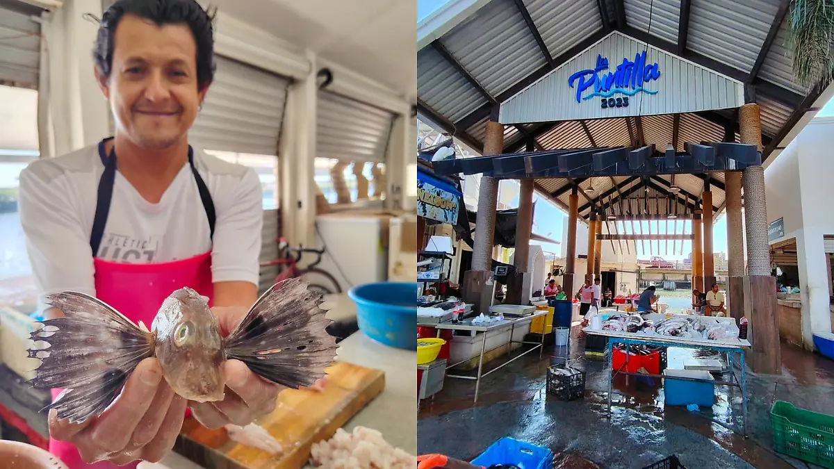 Medidas portada notas El Sol de Tampico - 2026-02-02T184334.728