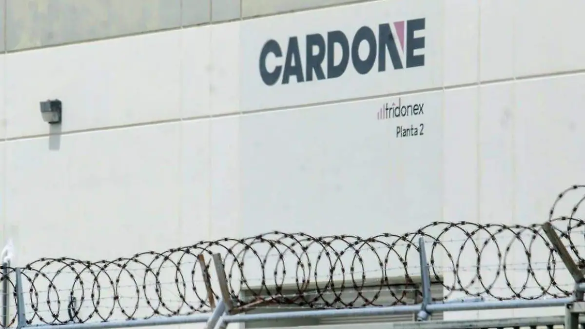 WhatsApp Image 2026-02-03 at 1.51.43 PM