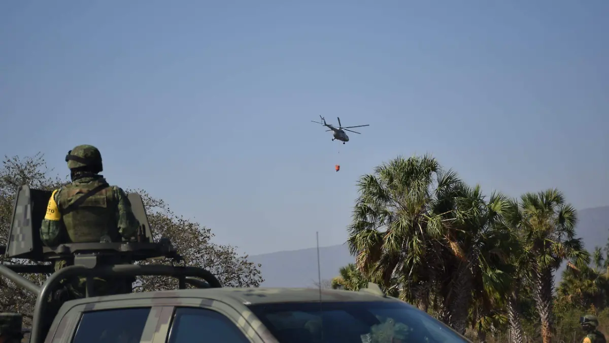 WhatsApp Image 2026-02-03 at 17.32.08