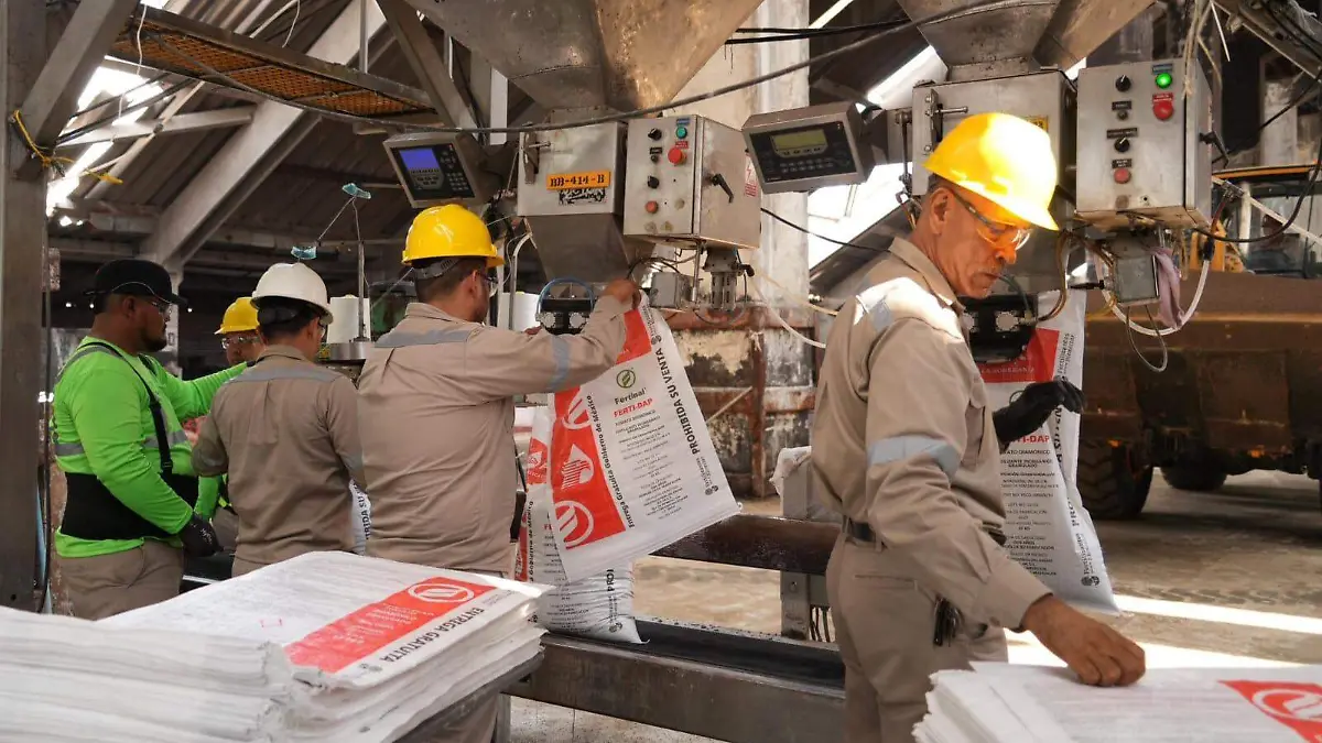 WhatsApp Image 2026-02-04 at 10.09.40 AM