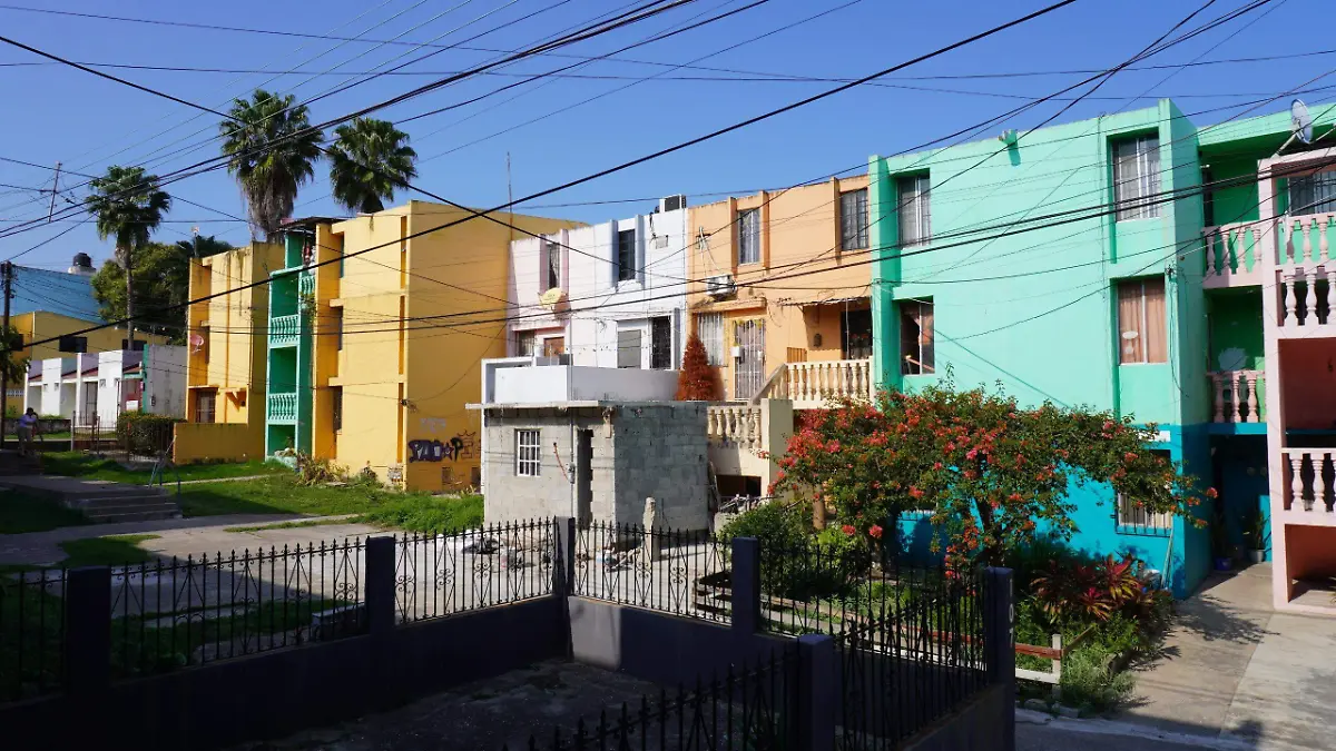 WhatsApp Image 2026-02-04 at 8.43.23 PM