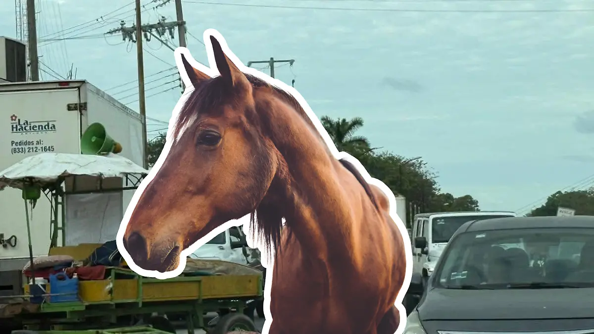 Medidas portada notas El Sol de Tampico - 2026-02-04T214553.527