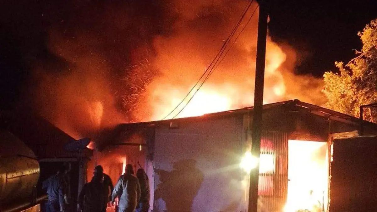 WhatsApp Image 2026-02-05 at 9.03.34 AM (1)