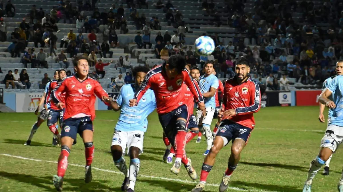 Freseros Tampico Madero