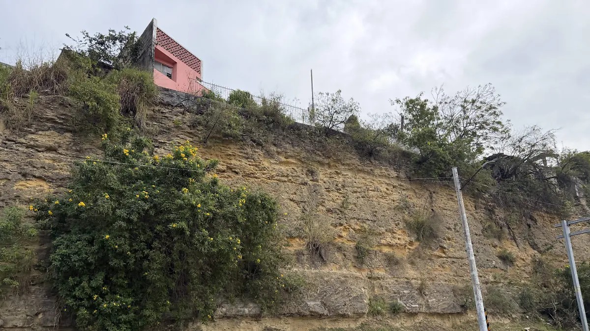 Proyectan el revestimiento de cerros en Tampico 