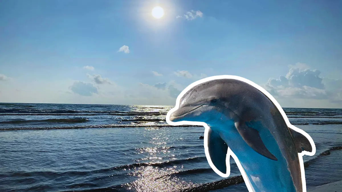 Medidas portada notas El Sol de Tampico - 2026-02-09T134440.329