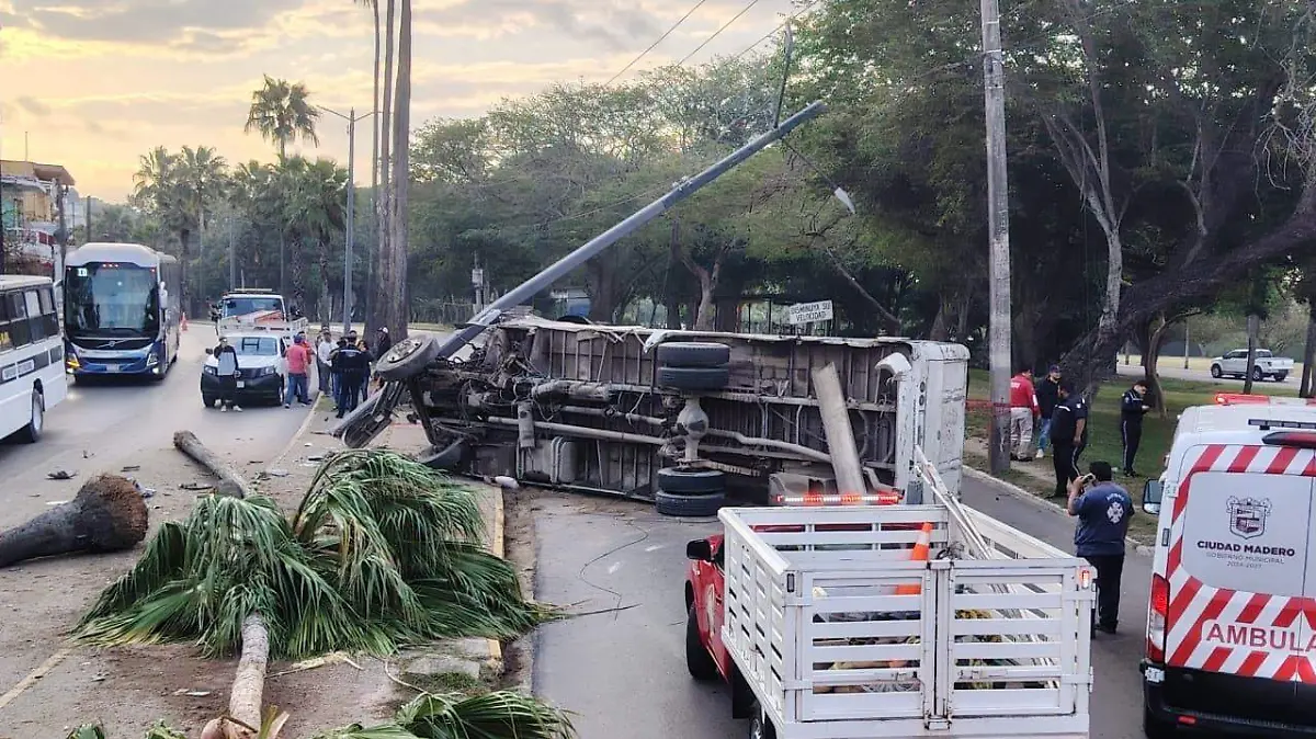 WhatsApp Image 2026-02-10 at 8.15.43 AM