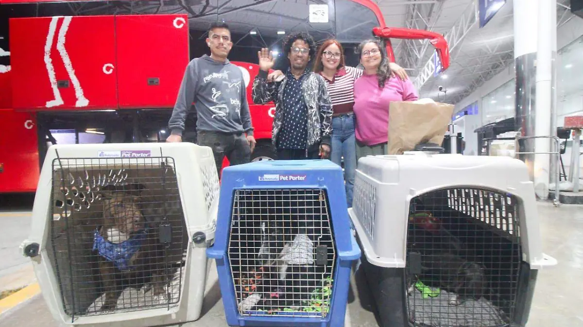 WhatsApp Image 2026-02-10 at 21.11.22