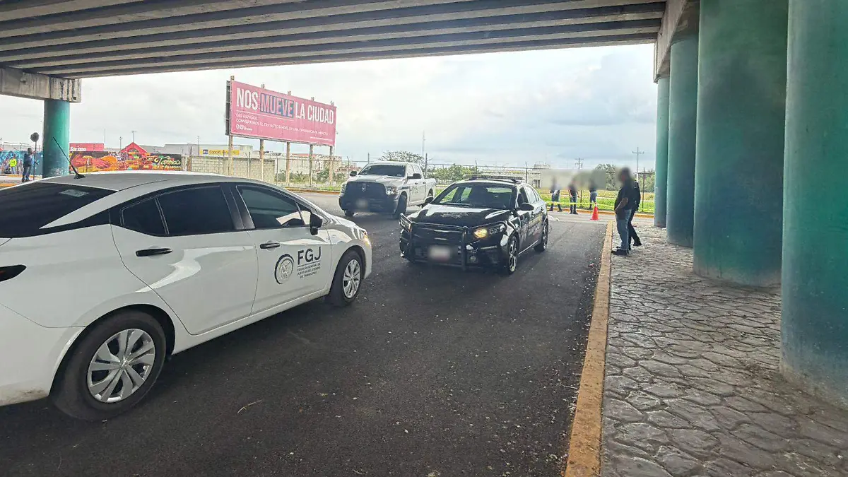 WhatsApp Image 2026-02-11 at 9.31.10 AM