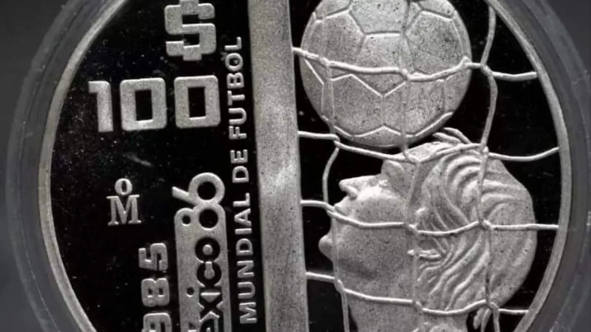 WhatsApp Image 2026-02-11 at 2.54.50 PM