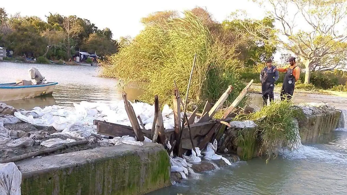 Se vuelven a instalar los costales para tapar la fuga de agua dulce